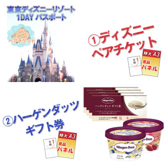 ディズニーペア ハーゲンダッツ ヘアアイロン 他 10点セット A3パネル 目録付 二次会の景品ならアネットショップ
